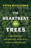 Heartbeat of trees