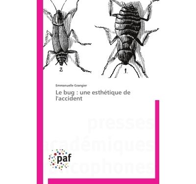 Le bug : une esthétique de l'accident