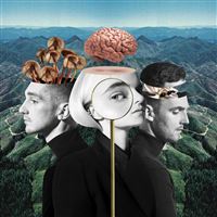 What is love/deluxe edit