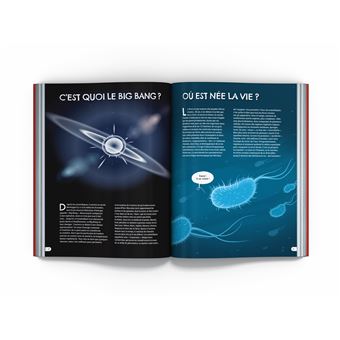 Les Pourquoi de l'histoire