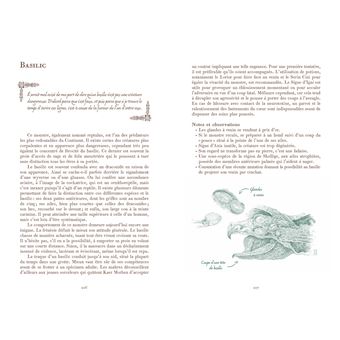 L'Univers du Sorceleur (Witcher) : Manuel du Sorceleur