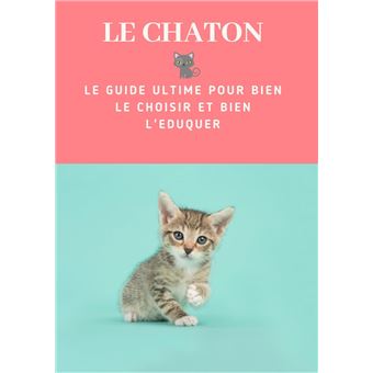 Le Chaton - 1