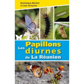 Les papillons diurnes de la reunion