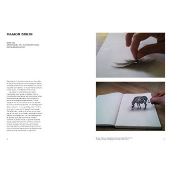 L'Art des illusions d'optique