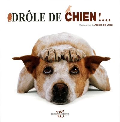 Drôle de chien ! - cartonné - Araldo De Luca, Hélène Tordo