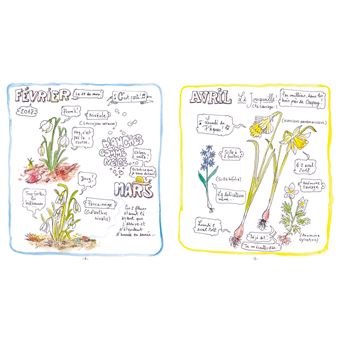 Carnet d'un voyageur immobile dans un petit jardin