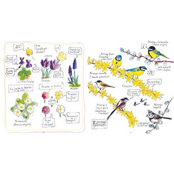 Carnet d'un voyageur immobile dans un petit jardin