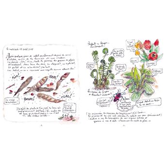 Carnet d'un voyageur immobile dans un petit jardin