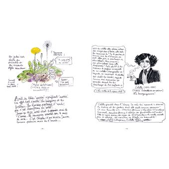 Carnet d'un voyageur immobile dans un petit jardin