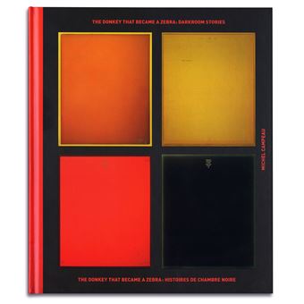 The Donkey that became a zebra