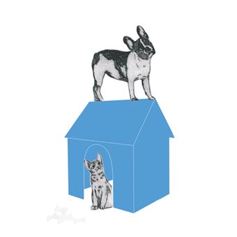 Les animaux rêvent aussi