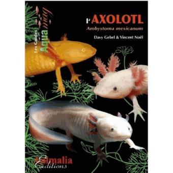 L'Axolotl, Ambystoma mexicanum