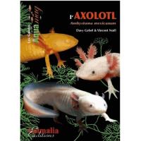 L'Axolotl, Ambystoma mexicanum