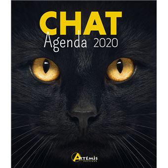 Agenda 2020 Chat