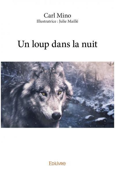 Un loup dans la nuit