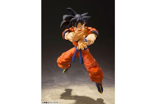 Bandai - Figurine Articulée, Manga, Anime, Multicolore (Tamashii Nations Bdidb208778)