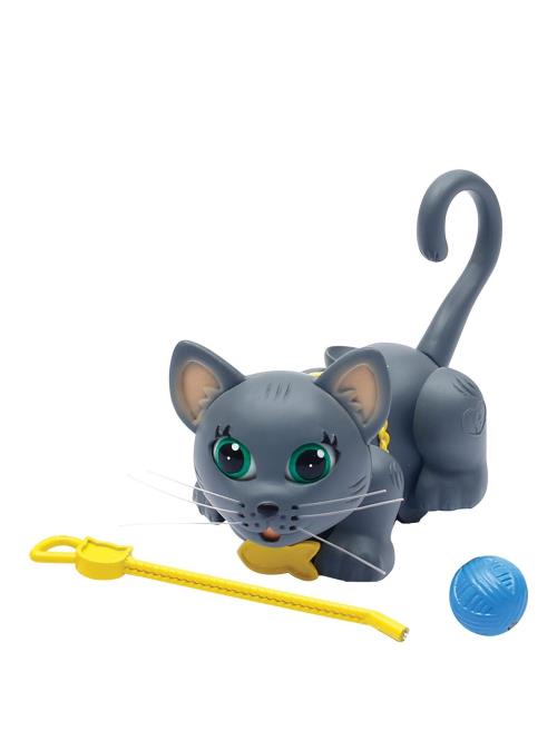 Chat Gris Chartreux Pet Parade avec pelote et laisse