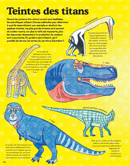 Communication Jeunesse  Dinosaures et animaux disparus