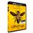 Candyman [4K Ultra HD + Blu-Ray-Édition limitée]