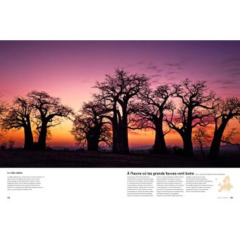 L'ÂGE D'OR DES VOITURES CLASSIQUES - ŽDu début du XXe siècle à la fin des années 60