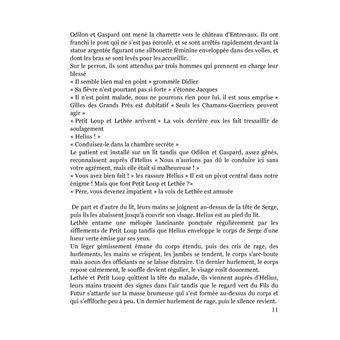 La Saga des Beriks