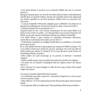 La Saga des Beriks