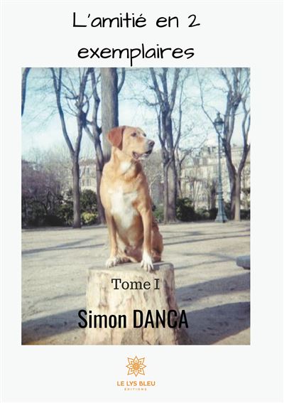 L'amitié en 2 exemplaires - Simon Danca - broché
