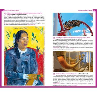 Guide du Routard Copenhague et ses environs 2019/20