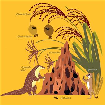 Mes imagiers de la vie sauvage - La savane