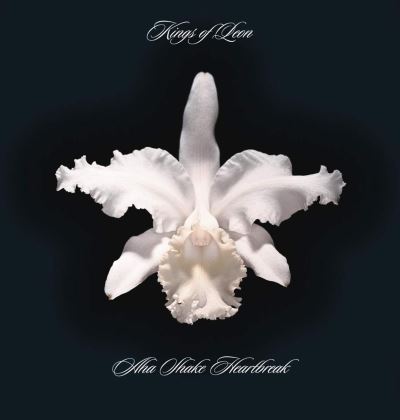 Aha Shake Heartbreak Vinyle blanc Exclusivité Fnac