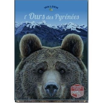 L'ours des Pyrénées