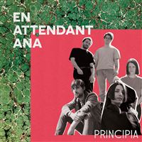 Principia Vinyle Vert