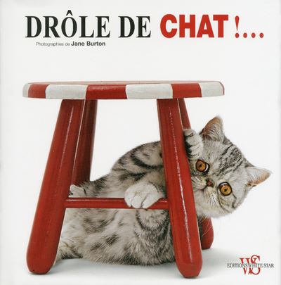 Mémoires d'un chat by Collectif