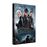 Les Animaux FantastiquesLes Animaux fantastiques 2 : Les Crimes de Grindelwald DVD_0