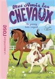 Mes amis les chevaux 26 - Un poney très coquet