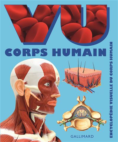 Vu corps humain