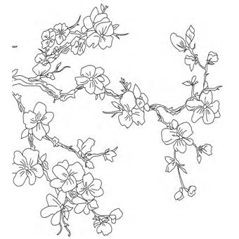 Je médite, je colorie, je dessine - Voyages spirituels