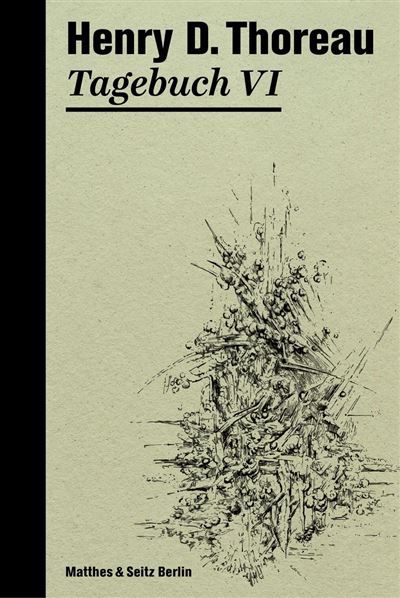Tagebuch VI - Henry David Thoreau - Matthes & Seitz Berlin Verlag - ebook (ePub) - Livre