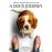 A DOG S JOURNEY-NL
