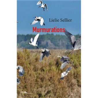 Murmurations