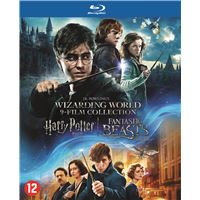 HARRY POTTER 1-8 + FANTASTIC BEASTS 1-BIL-BLURAY