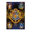 Poster Harry Potter Escodus Hogwarts