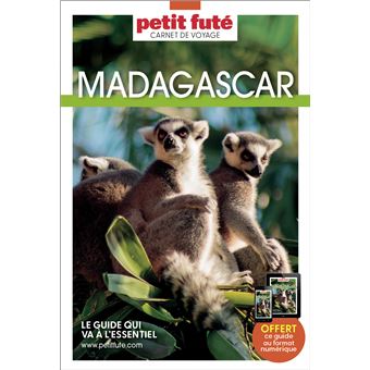 Guide Madagascar 2023 Carnet Petit Futé