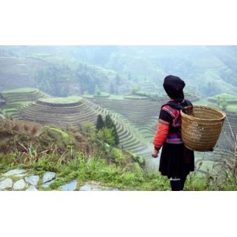 L'Année des Treize Lunes