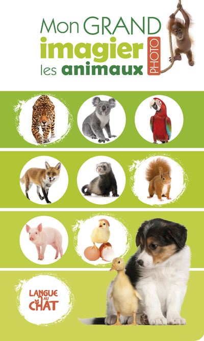 Mon grand imagier photo - Les animaux -  Collectif - cartonné