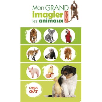 Mon Grand Imagier Photo Les Animaux Cartonne Collectif Achat Livre Fnac Mon Grand Imagier Photo Les Animaux Cartonne Collectif Achat Livre Fnac