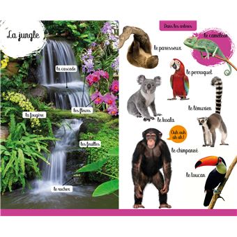 Mon grand imagier photo - Les animaux