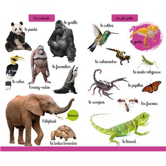 Mon grand imagier photo - Les animaux