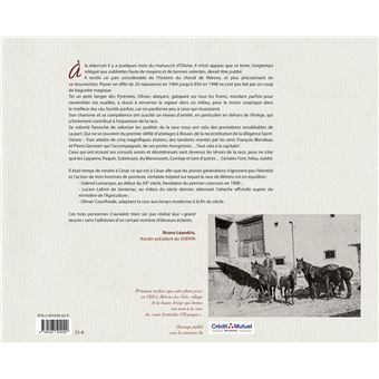 Le cheval de Mérens