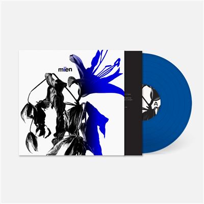 Miien Vinyle Bleu Transparent